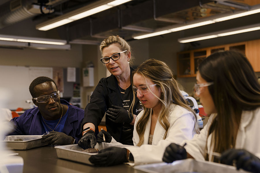 Image of students in lab with microscope