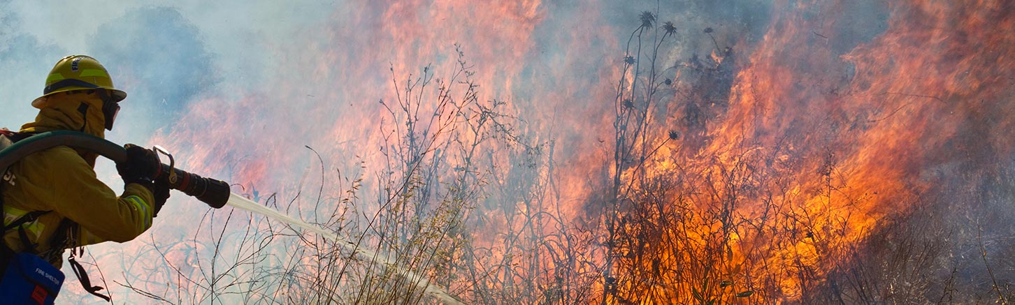 wildland fire banner