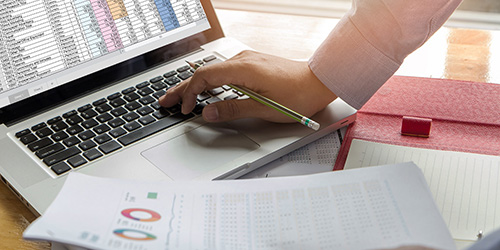 image of person working on laptop with spreadsheet