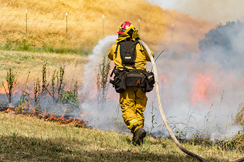 image of firefighter fighting wildland fire